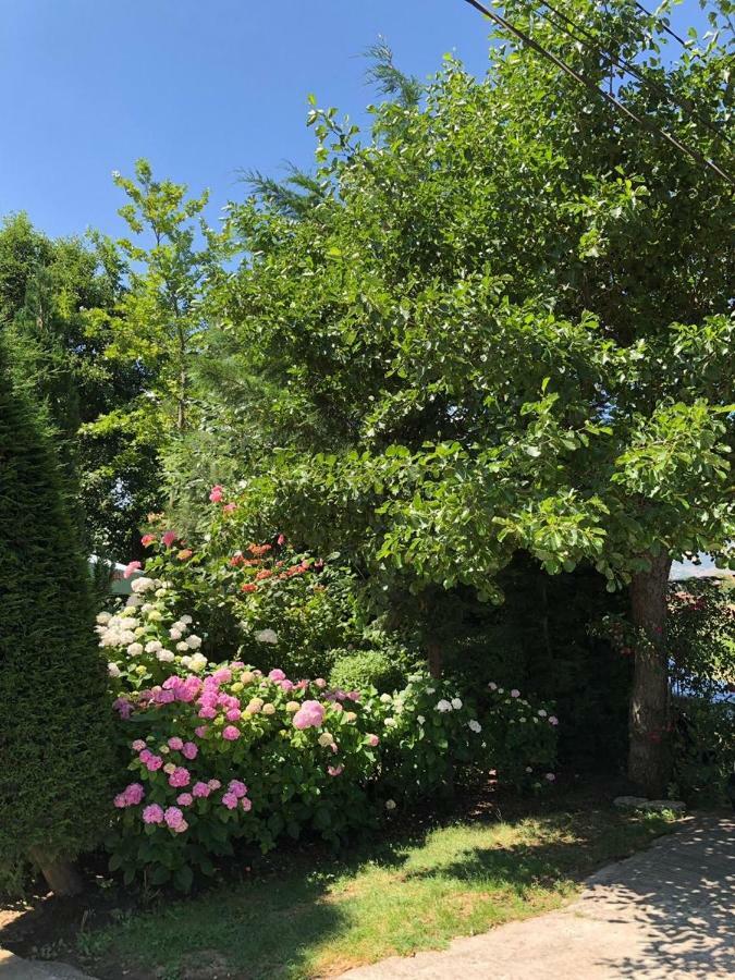 Vila Deni Tushemisht Exteriör bild