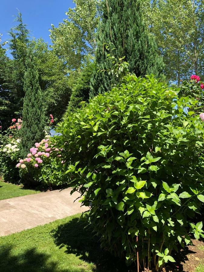 Vila Deni Tushemisht Exteriör bild